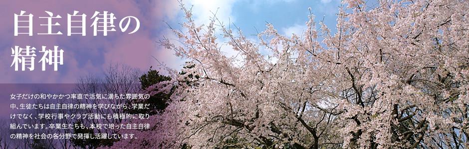 博猫app登录线路